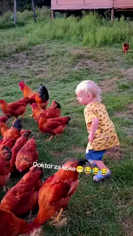 Sam svoj gazda😁😁😂