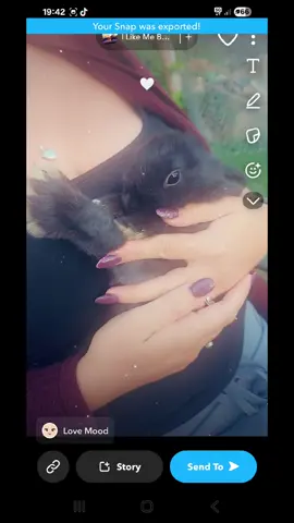 Chilled week off 😀🐇