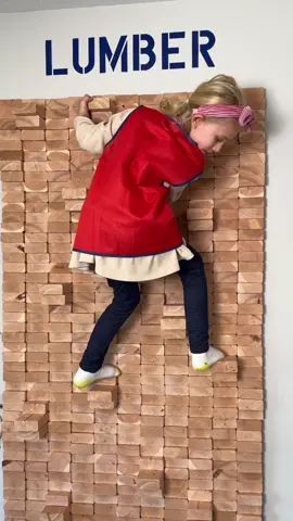 Dad builds thing. Kids get hurt. 