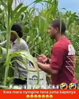 JUMA KWA KUPENYA TU AAH YUKO VIZURI ANA UTOFAUTI NA KUNGURU 😆😆😆 