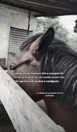 a maldade da humanidade não tem explicação. 🖤💭 #viral #cavalo #patas #edit #viralvideos 