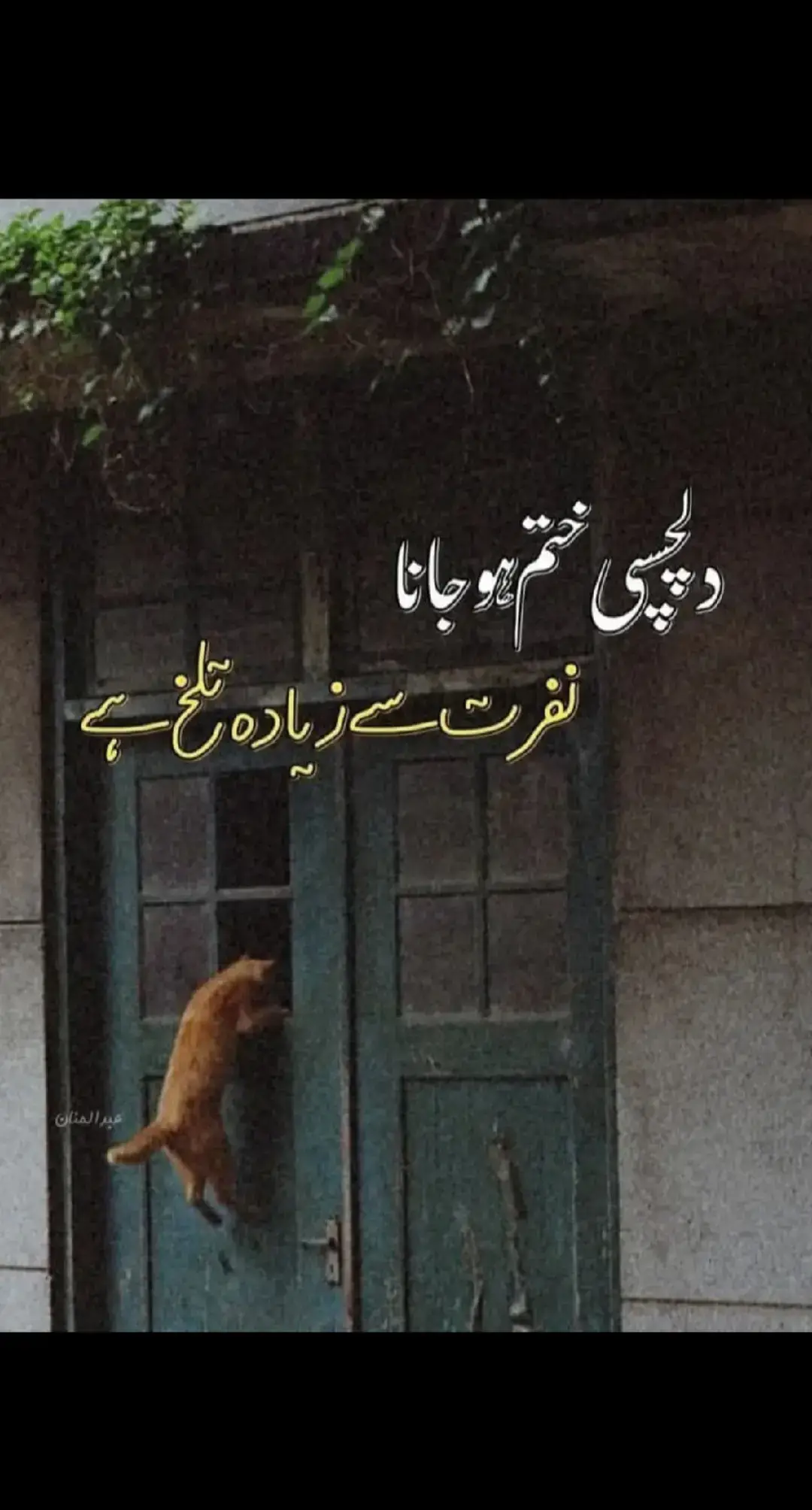 #waheed #kashmirgroup ##uk🇬🇧🇬🇧🇬🇧🇬🇧🇬🇧🇬🇧🇬🇧🇬🇧🇬🇧🇬🇧🇬🇧🇬🇧🇬🇧🇬🇧 