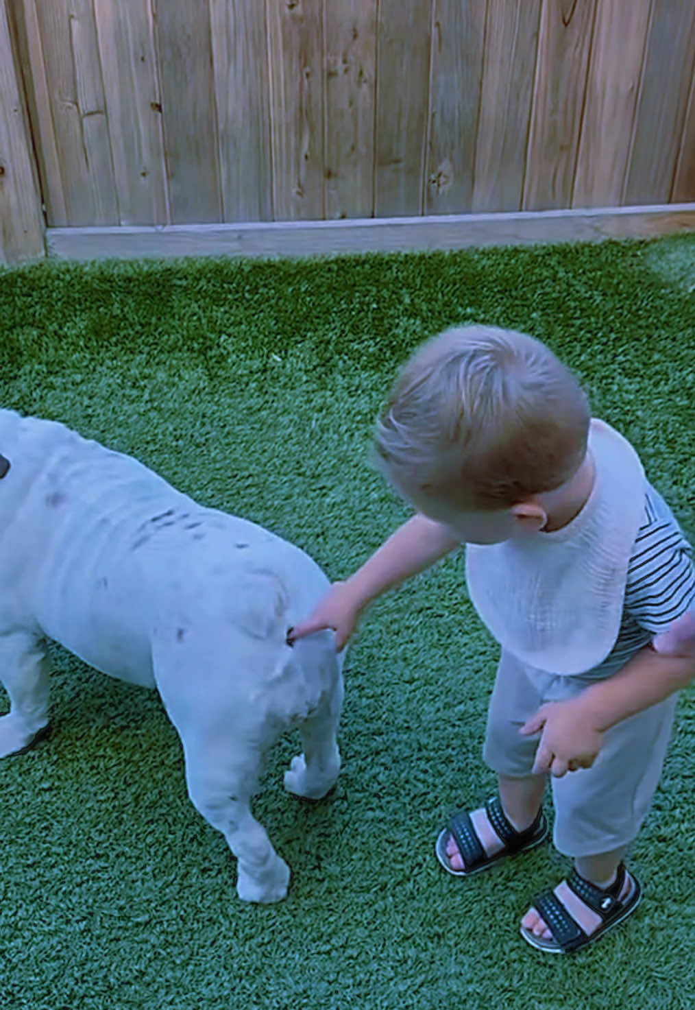 Phillies débarque All-Star plus près de Jhoan Duran avant la date limite des échanges de la MLB 000 👀🔥🔥 #JhoanDuran #MLBTradeDeadline #Phillies #BaseballUpdates #SportsNews