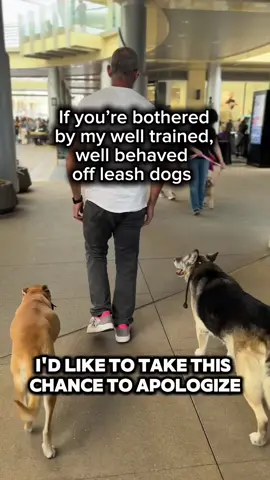 Love it or hate it, I dreamed it into reality. By working hard, putting in the time, and making it a lifestyle. But make no mistake about it, having your dog off leash comes with responsibility and accountability. Both of which I assume.  Because leadership isn’t about letting them run wild, it’s about teaching them boundaries, respect, and trust. Freedom is earned, not given. #offleashdogs #offleashlife #dogsoftiktokviral #packleader 
