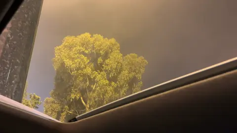 لو تقتحمني عاصفة#fyp #محمد_بن_فطيس 