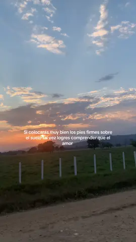 Si colocaras muy bien tus pies firmes sobre el suelo Tal ve logres comprender que el amor no es un papel Que se arruga y se echa al fuego. Ya no hay nada que buscar Ya nada tiene remedio Todo esto lo eché a volar y usted pájaro de mar También emprenda su vuelo.pajaro de mar por tierra #llaneras #musicallanera #paratusestados #estadosparawhatsapp #wil🤠 @Jorge F. Guerrero S. Compartan a Jorge guerrero 