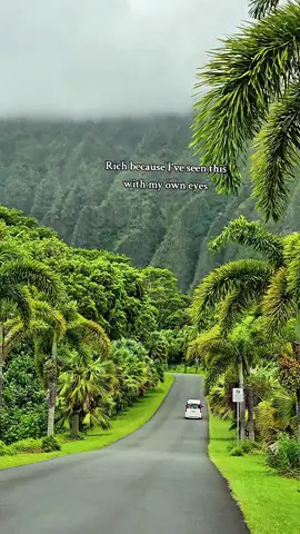 💯 💶 😍⛰️🌳🫶 #foryou  #foryoupage  #hawaii  #hawaiitiktok 