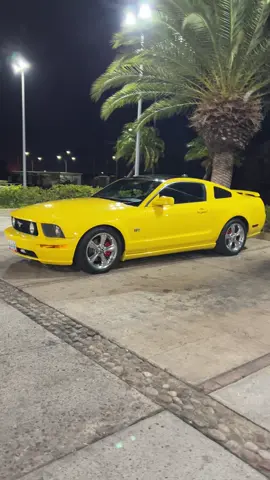 #mustang #mustangsociety #mustanggt #mustangson #mustang2007gt 