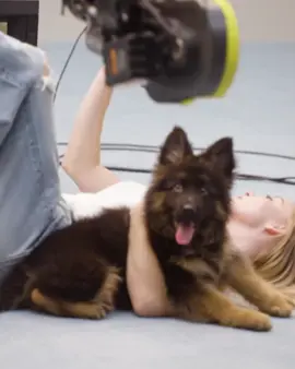 Doggy #sydneysweeney #feet #dog #republican #american 