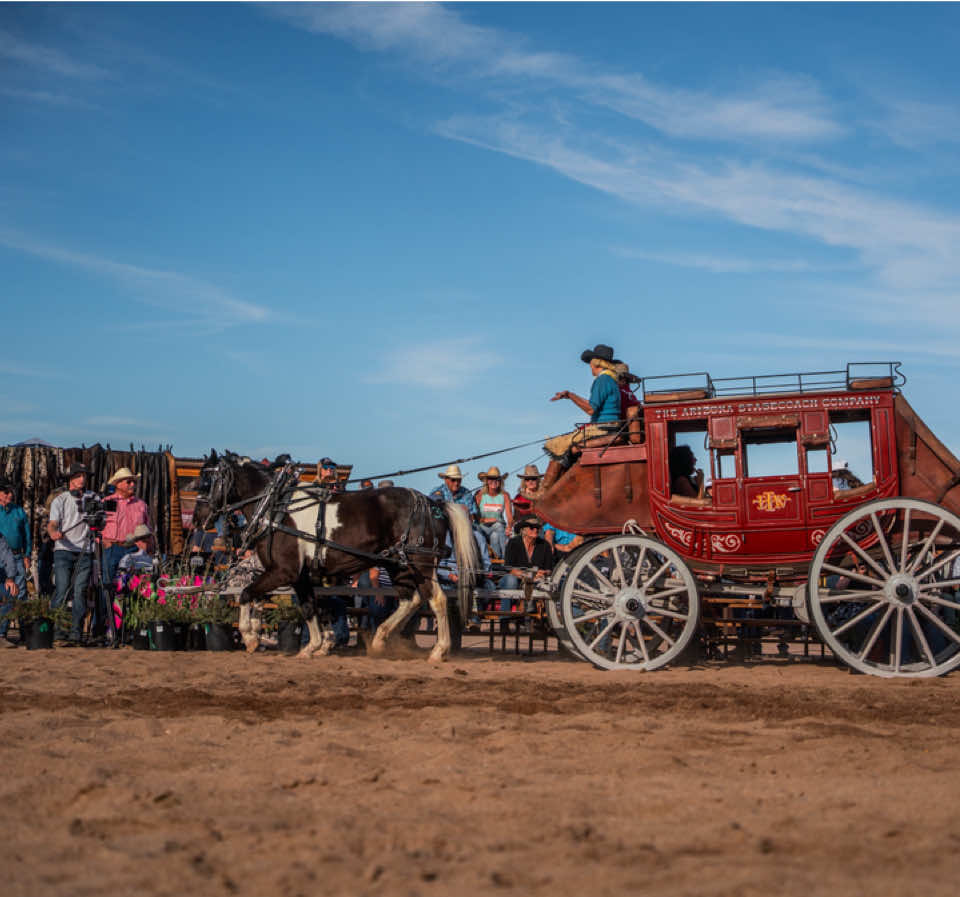 Team roping maybe my specialty, but I love to step outside the norm. 🤩 #cowgirlcadillacs #horsesale #stagecoach #western 