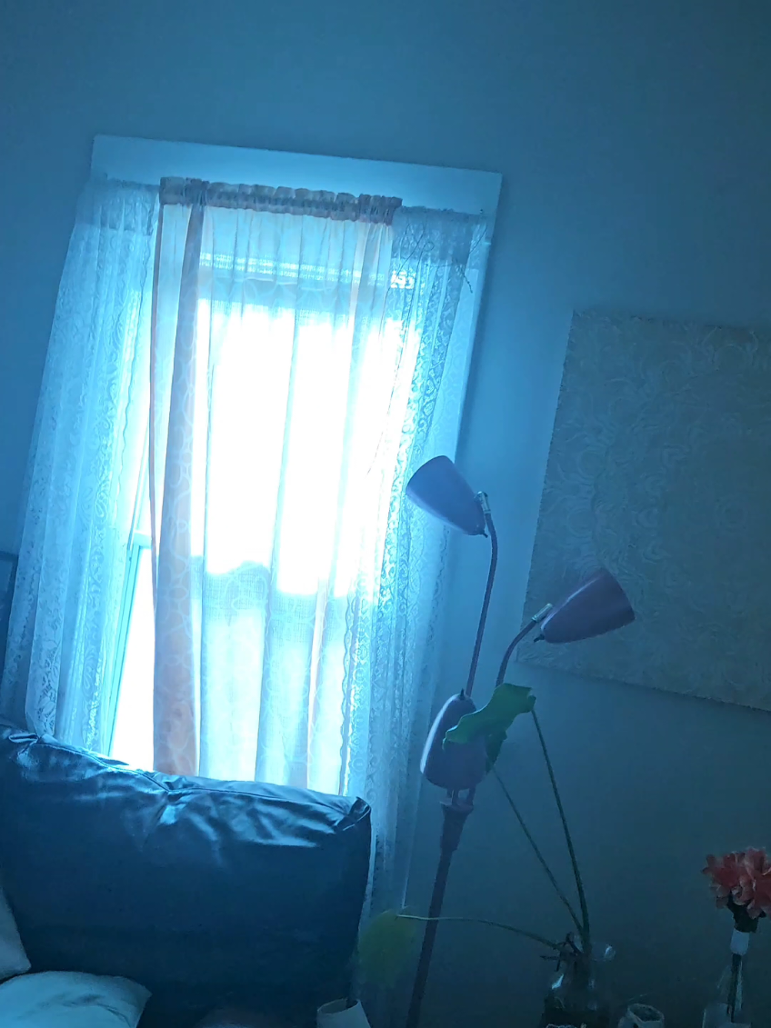 Straight line winds popped the transformer outside, my cat was in my window and you can see where she knocked all of the pillows over as she scampered off the couch and hid under my bed 😭 #storm #Kansas #tornado #severeweather #stormchaser 