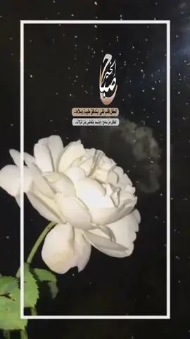 هذا اليوم #في هذا اليوم 
