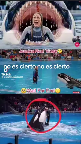 no es cierto no es cierto  #jessica#orca#entrenadora#mentira