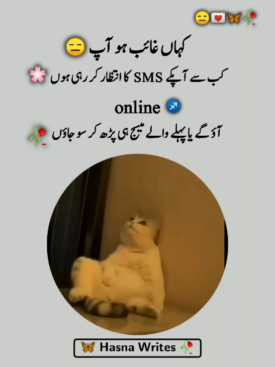 🙄🥀😑#foryoupage #funnypoetry #hasnawrites #plzviral🥺🥺🙏🙏foryoupage 