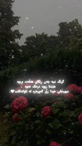 #explore #مشاهدات #fouryou  Acc dllakanm𖣂༘⋆🫶🏻🥹 𖣂༘⋆🌷🫧💭₊˚
