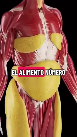 El café no es solo una bebida para despertarte: sus compuestos bioactivos influyen directamente en el metabolismo, ayudando al cuerpo a usar la grasa como fuente de energía en lugar de almacenarla.  Eso sí, la clave está en cómo lo prepares y con qué lo combines, porque un error puede convertirlo en tu mejor aliado… o en tu peor enemigo. ☕🔥 👉 En mi perfil te muestro la forma correcta de tomarlo y el método que ya está transformando a muchas mujeres. #batidoquemagrasa #cafequemagrasa🔥🔥 #perderpeso #transformacion30dias #LIVEMonetization 