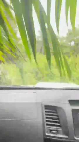 Ke alam bunian🌳🌳🌳 . . . . ##sabahancrew_fams##sabahantiktokers##sabah##sawit##hilux4x4