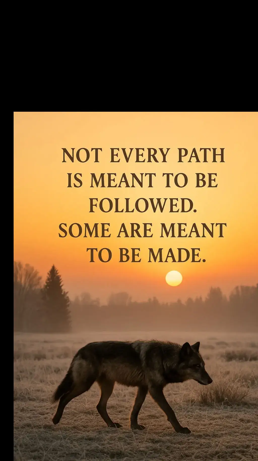 beardedwolf83 #follow4follow #like4like #openduet# #fyp 