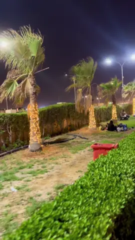 #بصره_بغداد_ميسان_ذي_قار_كل_المحافظات #بصرتي🍃🥺 #العراق_السعوديه_الاردن_الخليج 
