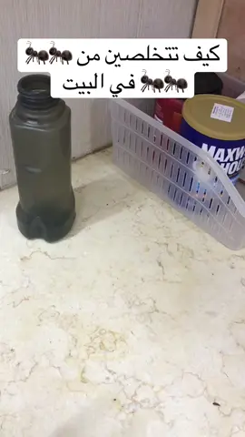 #النمل #كيف_تقضين_على_النمل #يوميات #نصائح #مالي_خلق_احط_هاشتاقات #اكسبلور #اكسبلورexplore 