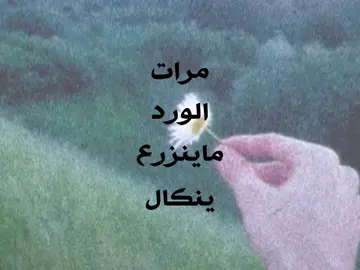 مرات الورد ماينزرع ينكال 💔😓🙇🏻‍♂️. #تصميمي #اشعار #علي_رشم #حزين #شعر 