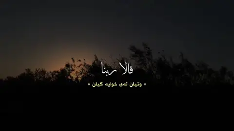 #foryou #fyp #quran ساتێک بۆ ئارامی مێشک