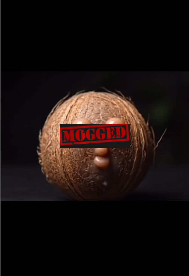 #fyp #apple #trending #aifruit #coconut bp edit of ai fruit coconut apple grape watermelon peach orange