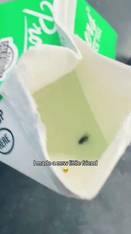 If you don’t like my friend then you can leave || #fly #friend #school #schoollunch #erickhyxga 