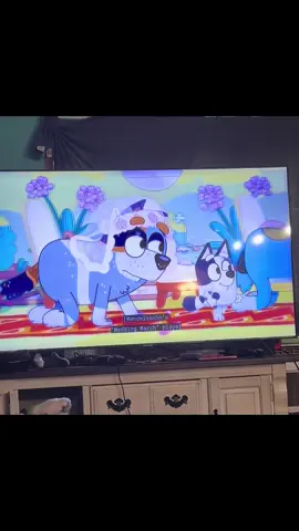 My little brother noticed this when the kids were watching Bluey 😂😭 #bluey #blueymistake #banditheeler #funny 