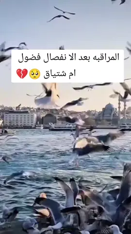 #اعلى_مشاهدة_في_تيك_توك #اكسبلور #كلام_من_القلب #الشعب_الصيني_ماله_حل😂😂 