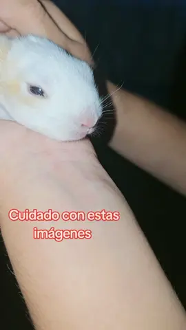 cuidado con estas imágenes #cuidado #con #estas #imagenes#cuidadoconestasimagenes 