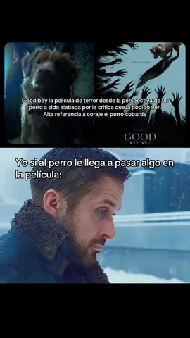 #goodboy #cine #terror 