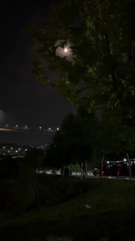 The city of bridges shines brighter under the night sky 🌌❤️.                          #2025 #constantine #قسنطينة_قسنطينية_حاجب_وعوينة #قسنطينة #foryoupage 