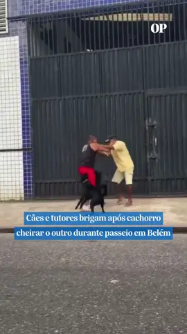 Uma briga entre dois homens no bairro de Águas Lindas, na região metropolitana de Belém, chamou a atenção nas redes sociais na tarde desta terça-feira, 19. O desentendimento teve início por causa do comportamento natural de cachorros de cheirar o outro animal. A discussão, que começou de forma verbal, acabou se transformando em agressões físicas em plena via pública e até os cachorros se envolveram na briga. Até o momento da publicação deste vídeo, não havia informações sobre feridos. 📹: Reprodução/ Redes Sociais #opovo #cachorro #tutores #belém #briga 