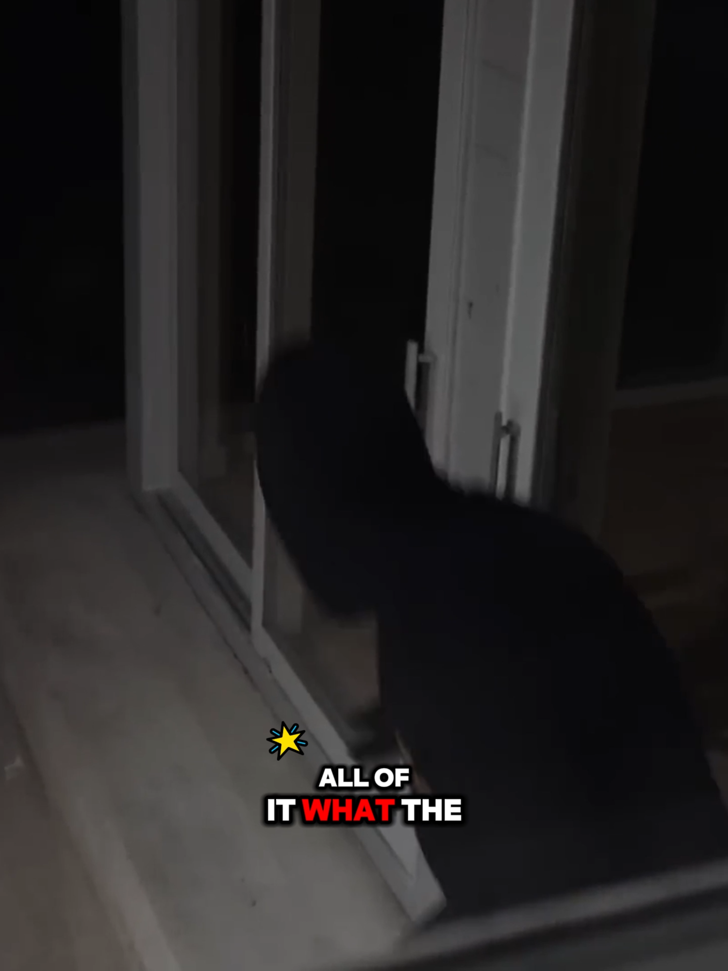 The Thief Was Outside Our House at 3AM!-P5#dobrebrothers #lucasandmarcus #viral