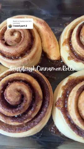 Replying to @hayley.rose.16  Sourdough Cinnamon Rolls  Recipe👩‍🍳:@sourdough mom  These came out better than I could have ever expected and I will be making them again reallllly soon 10/10👏🏽 #sourdoughrecipes #sourdoughcinnamonrolls #cinnamonoll #cinnamonrollrecipe #baking #Recipe 