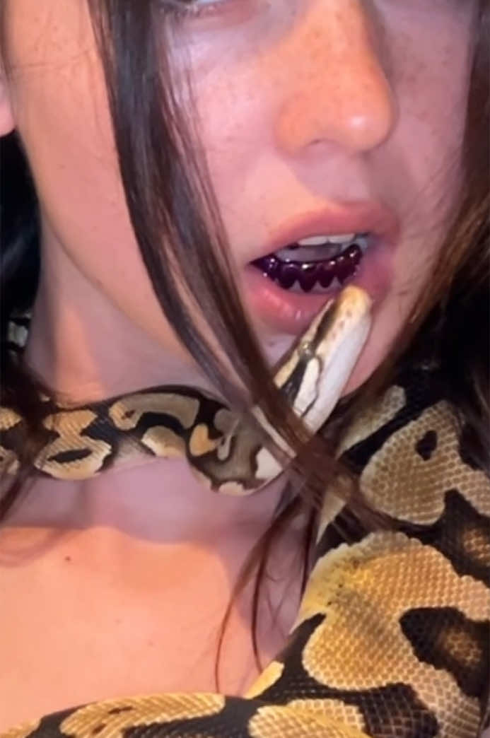 me sweet snake friend