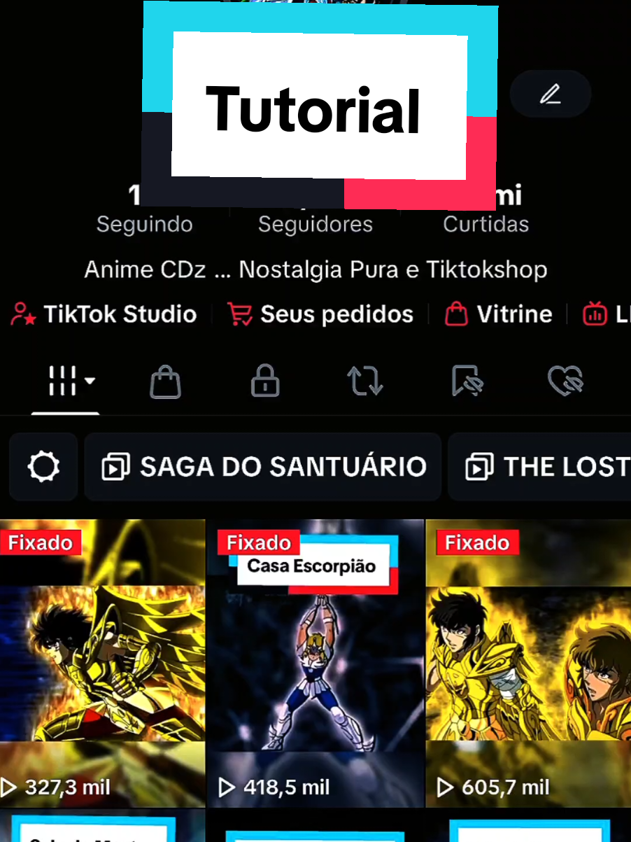 Tutorial: Aproveite a Playlist e veja a Saga completa - #tutorial #tiktok #playlist #cavaleirosdozodiaco #cdz 