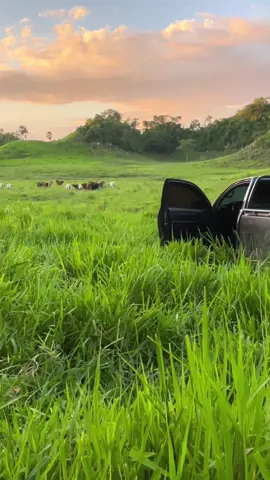 #paratiiiiiiiiiiiiiiiiiiiiiiiiiiiiiii 