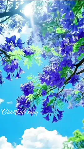 Chào buổi sáng ....#Uyen #cảnhđẹpthiênnhiên #beautifulscenery #fyp #xuhuongtiktok 