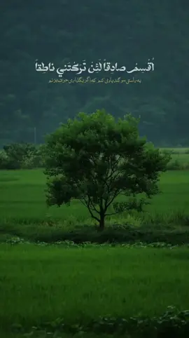 اُقْسِمُ صادِقاً لَئِنْ تَرَكْتَني ناطِقاً 🤎🌿#دعاء_كميل#اكسبلورexplore #اباذر_الحلواجي #ياسر١٤٢٥هـ 