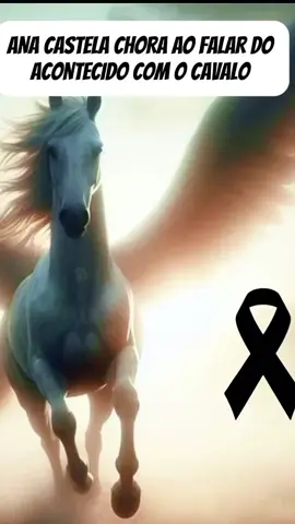 Ana Castela se emociona ao falar sobre o cavalo 