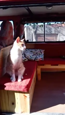 Así armamos los colchoncitos de la Rojita! #camperlife #VanLife #LaCartuchonetta #campeartesanal 