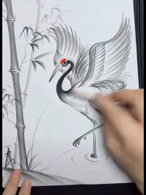 How To Draw With a Pencil ✏️  . . . #artist #sketch #draw #drawings #drawingchallenge 