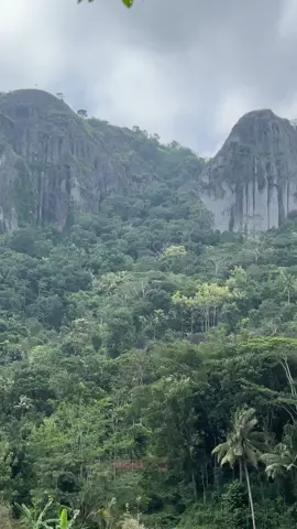 Ademe gunung api purba  Seng neng nglangran Wonosari yoyakarto.. Petikan syair lagu banyu langit ciptaan alm.Didi kempot..dan ini lah yg dimaksud gunung api purba dilagu itu…pemandangan yg indah..karunia sang pencipta untuk kita nikmati dan kita jaga..dikelilingi perkebunan buah khususnya durian …lokasi mudah dijangkau kendaraan R2 maupun R4…yuuk refreshing kesana..🥰🥰🥰 #treveling #explorejogja #piknikmurahjogja #wisataalam #fyppppppppppppppppppppppp 