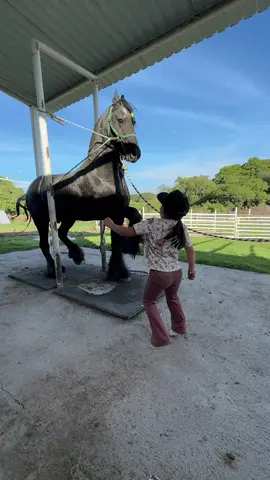 Qué bonita la vida de rancho😍#caballos #caballosbailadores #bailar #rancho 