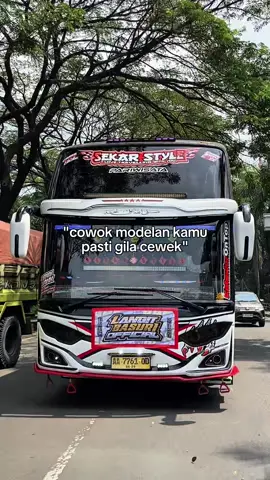 not my style🙏 #fypage #busmania #storybus 