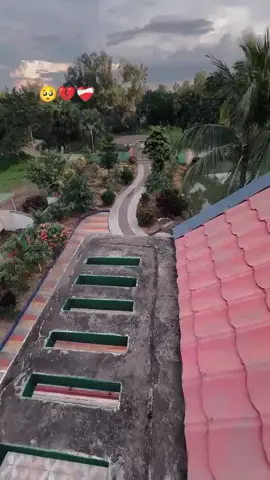 🥺🥺🥺🥺❤️‍🩹💔