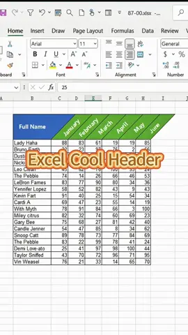 Insert a cool diagonal header box in Excel#Excel#ExcelTips#ExcelTricks#Spreadsheet#ExcelHacks