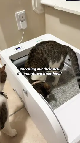 If you want an automatic cat litter box that is open! This one is amazing!!! #cat #automaticlitterbox #litterbox 
